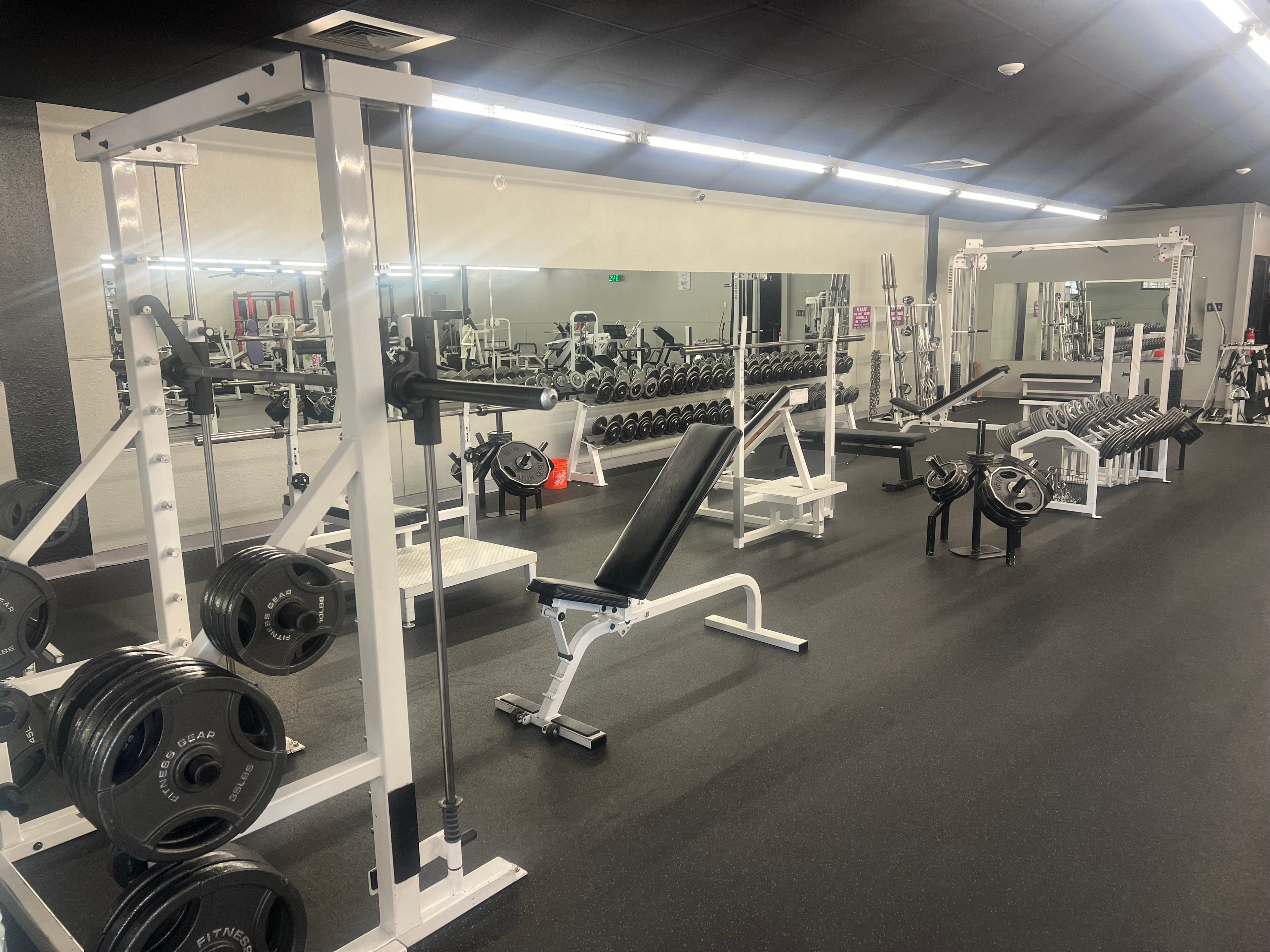 Personal Training at Forged Fitness